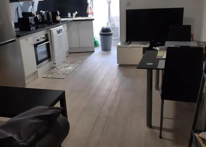 Le Logis Des Templiers Appartement Climatise